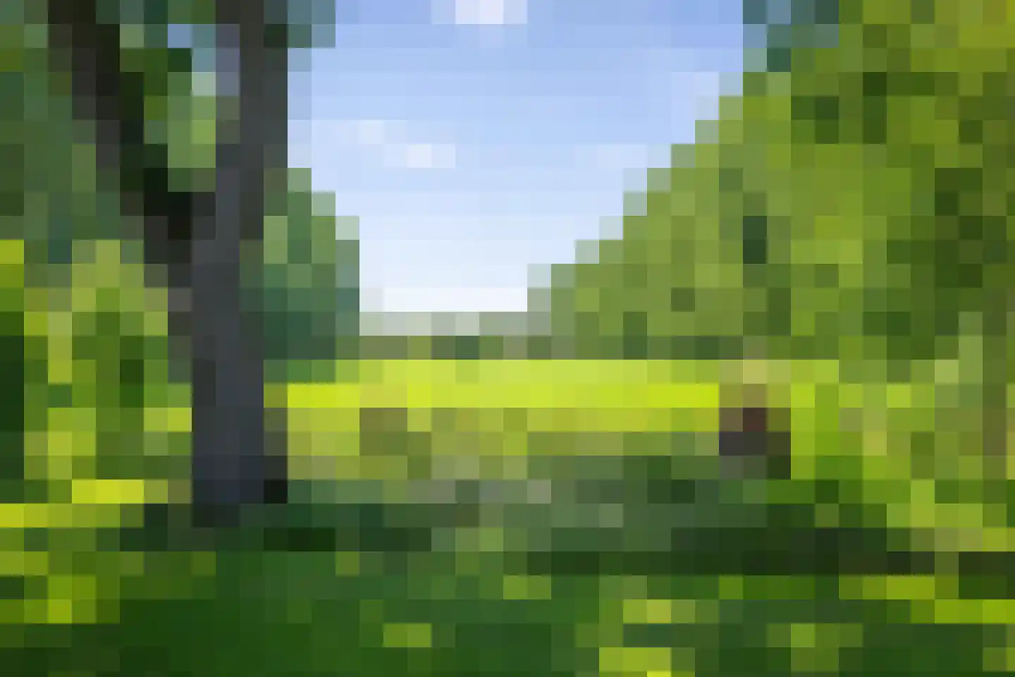 Veluwsedijk 9 Nijbroek thumbnail 40