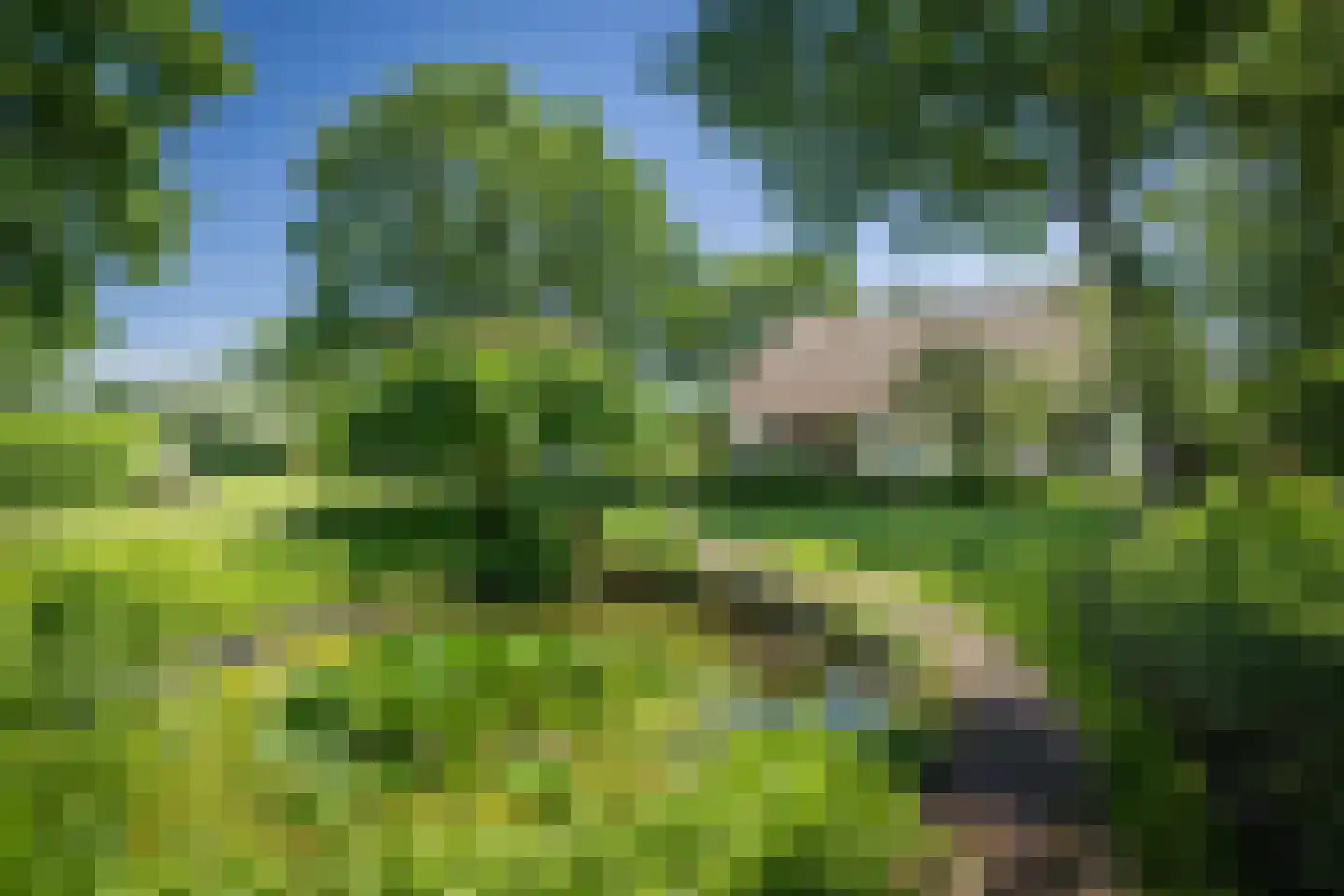Veluwsedijk 9 Nijbroek thumbnail 42