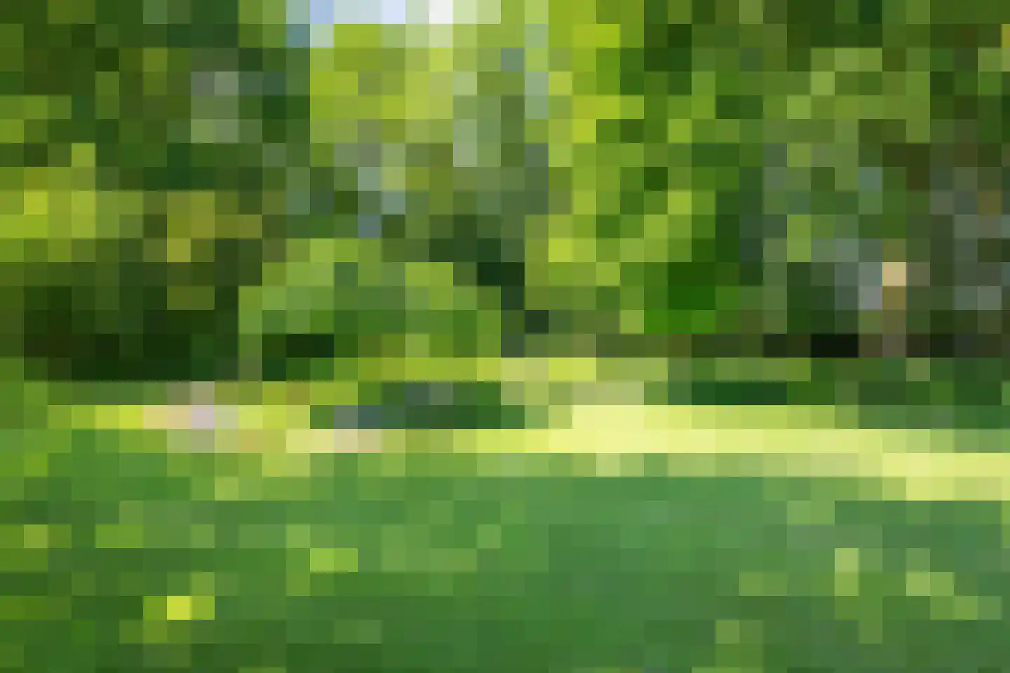 Veluwsedijk 9 Nijbroek thumbnail 43