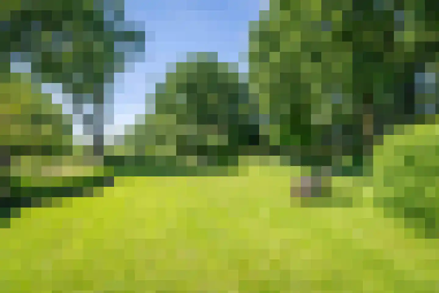 Veluwsedijk 9 Nijbroek thumbnail 44