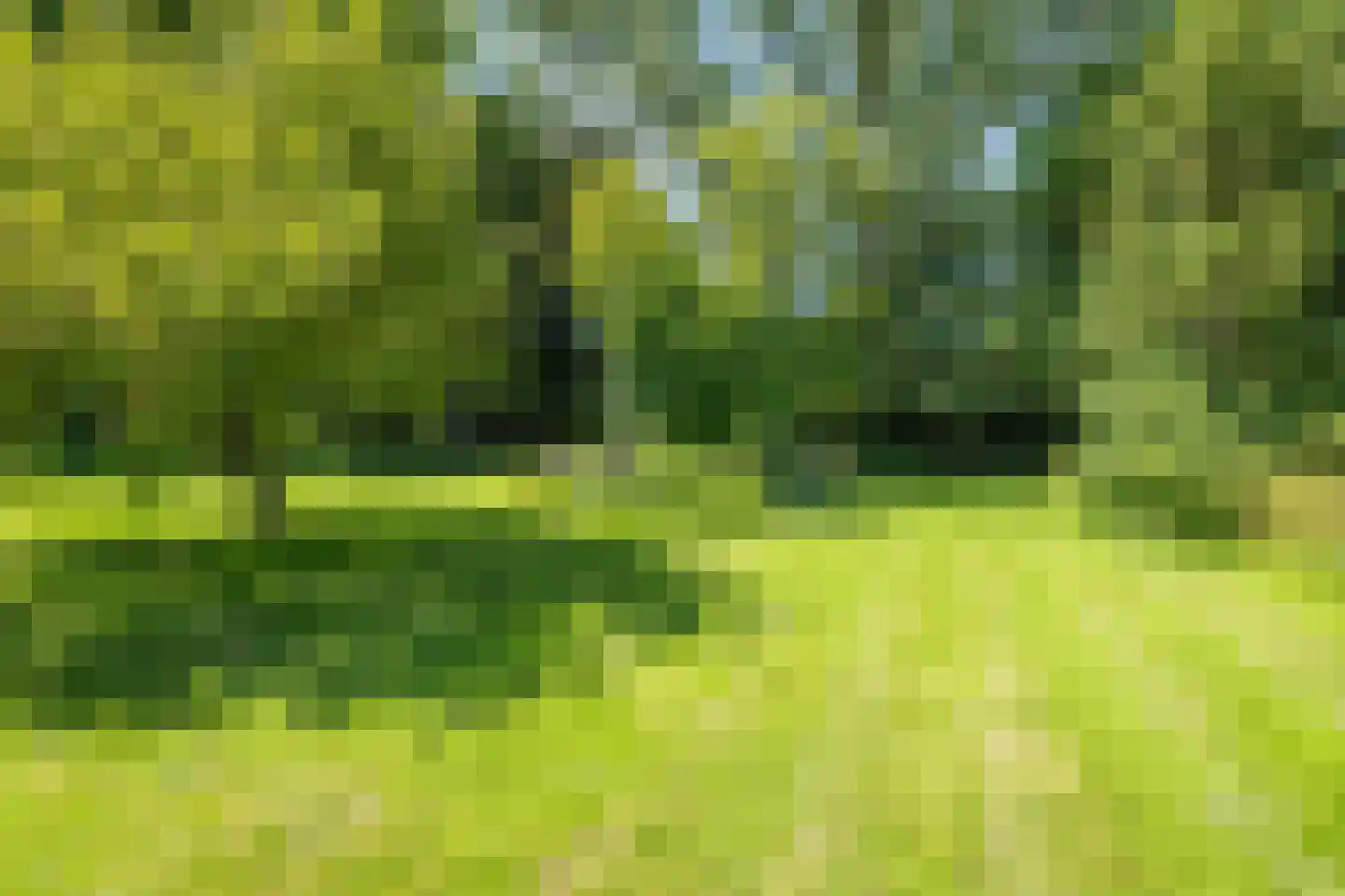 Veluwsedijk 9 Nijbroek thumbnail 47