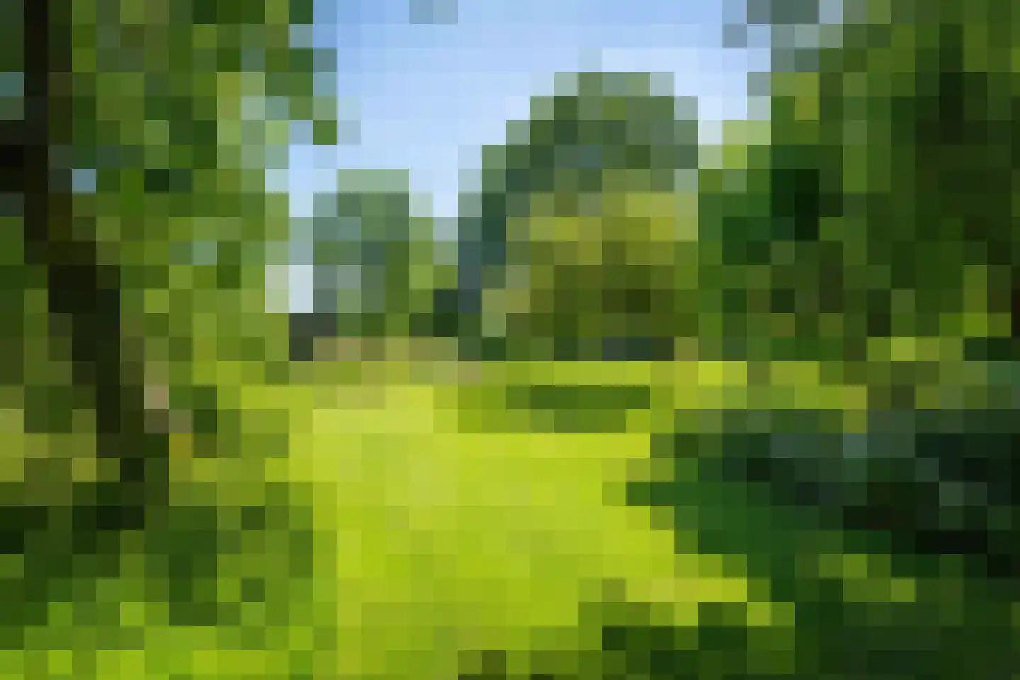 Veluwsedijk 9 Nijbroek thumbnail 48