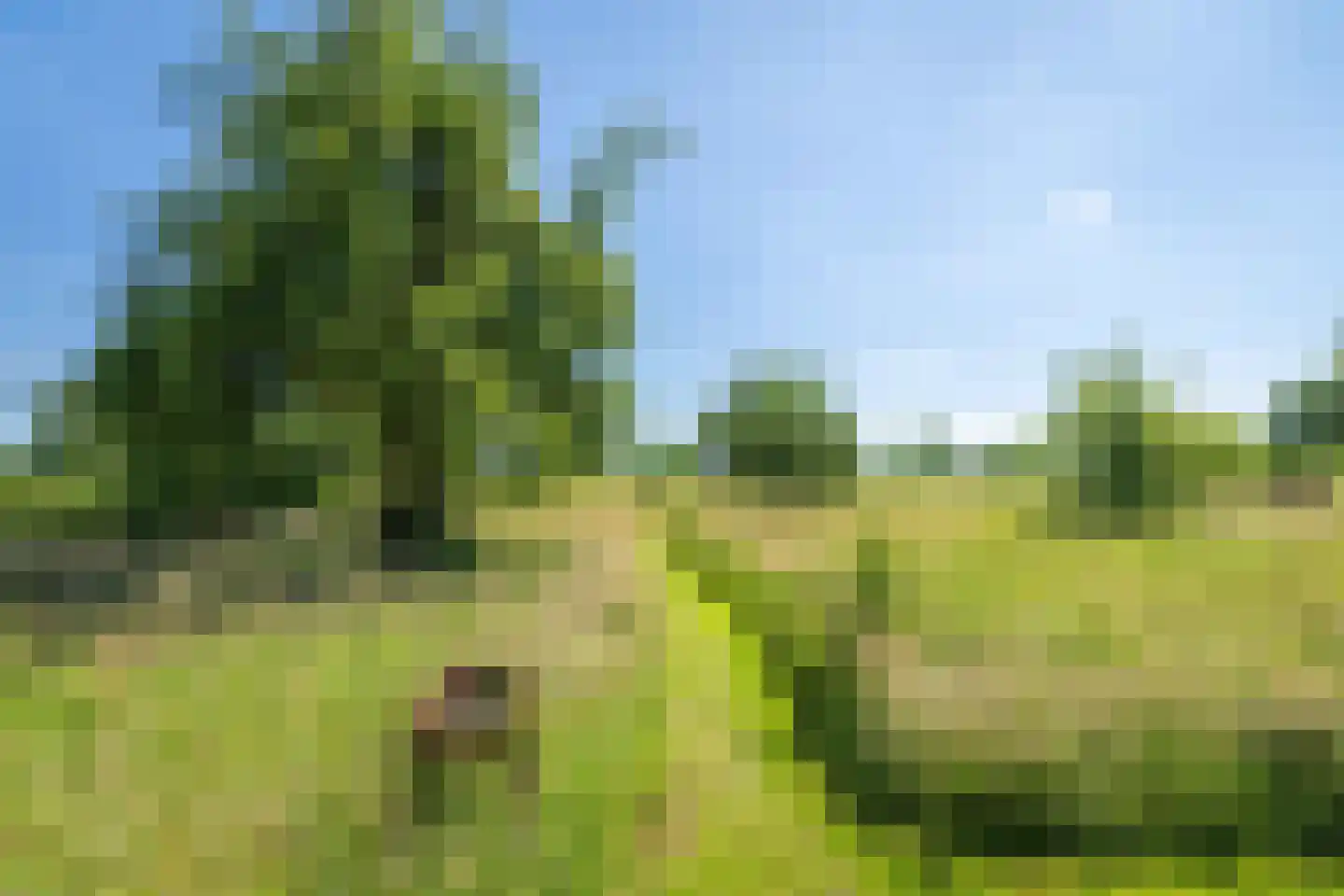 Veluwsedijk 9 Nijbroek thumbnail 51