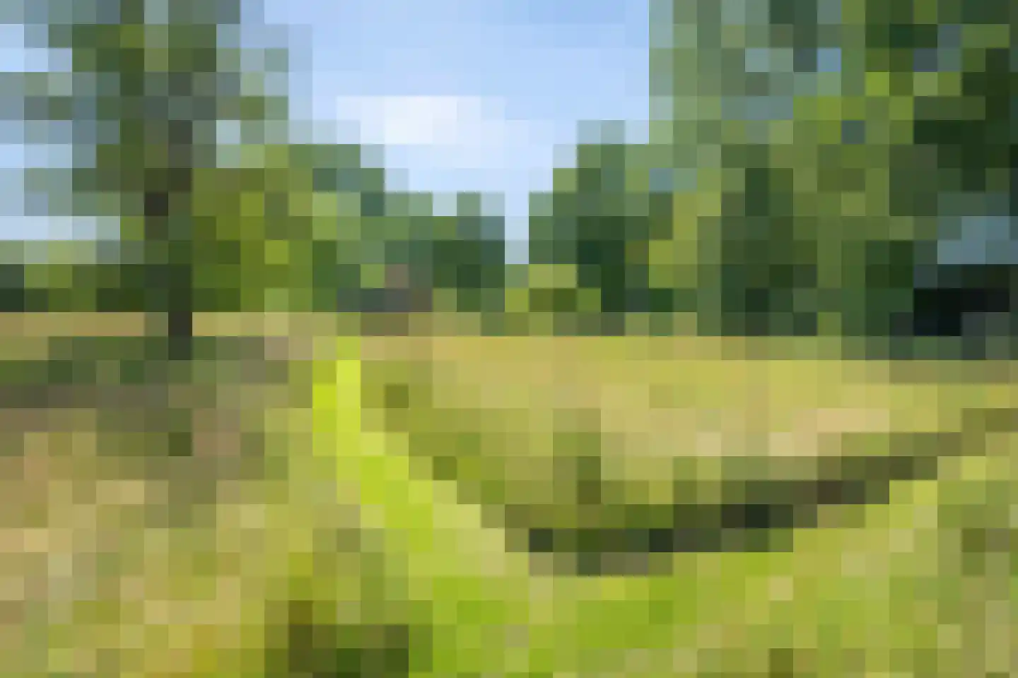 Veluwsedijk 9 Nijbroek thumbnail 55