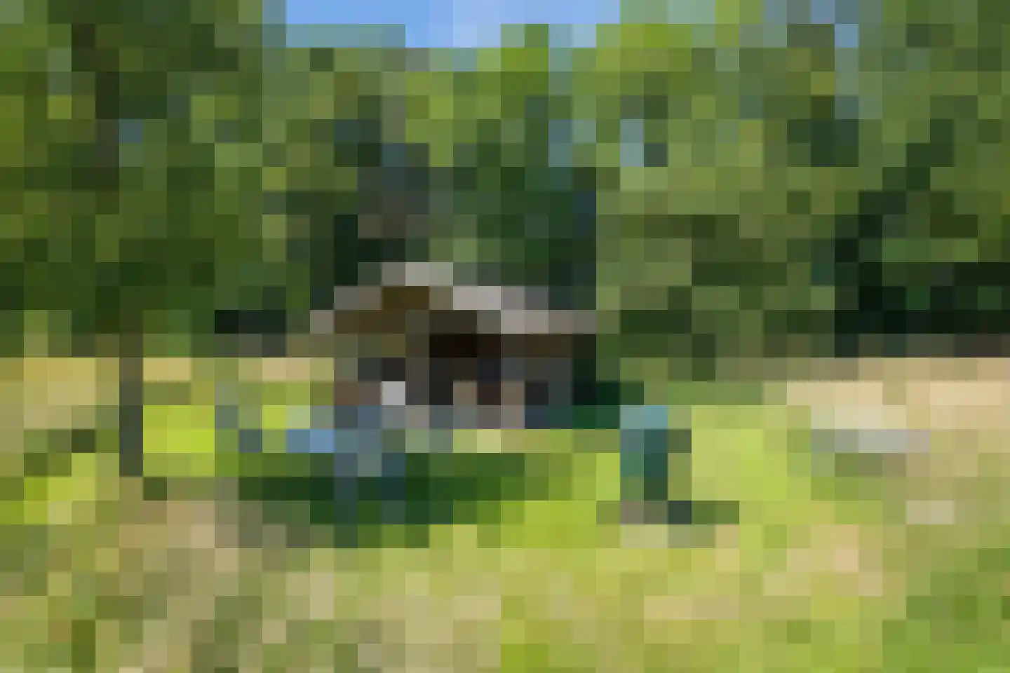 Veluwsedijk 9 Nijbroek thumbnail 56