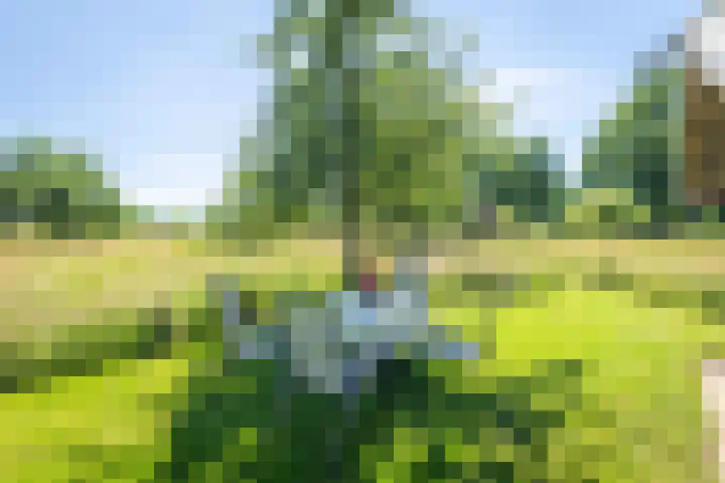 Veluwsedijk 9 Nijbroek thumbnail 57