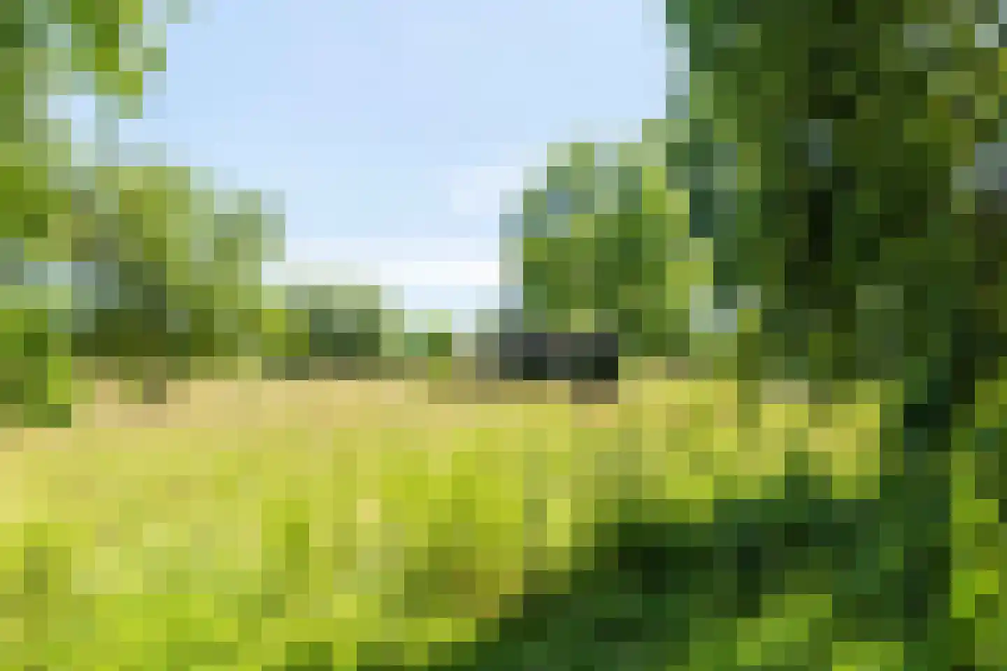 Veluwsedijk 9 Nijbroek thumbnail 59