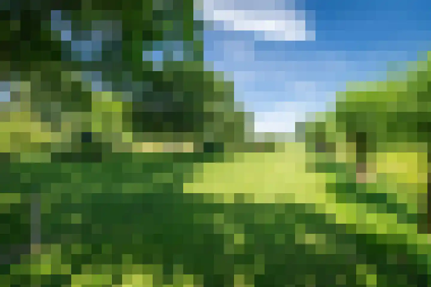 Veluwsedijk 9 Nijbroek thumbnail 60