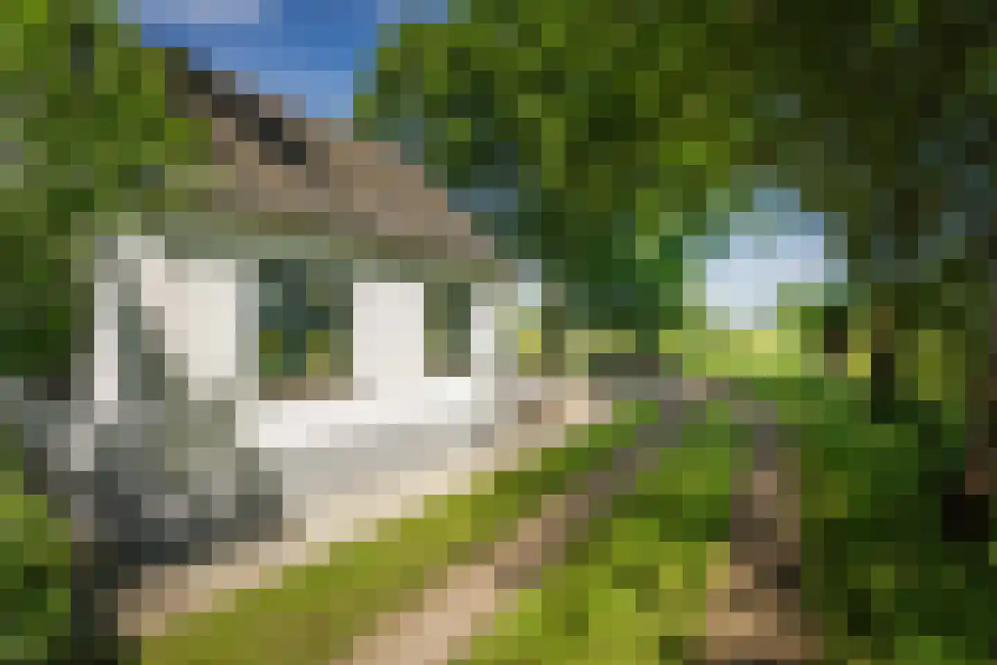 Veluwsedijk 9 Nijbroek thumbnail 61