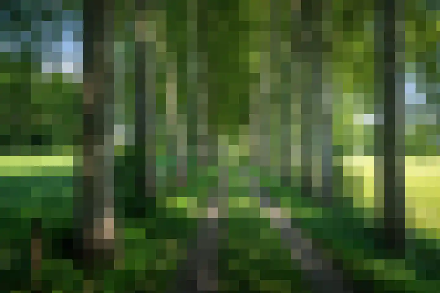 Veluwsedijk 9 Nijbroek thumbnail 62