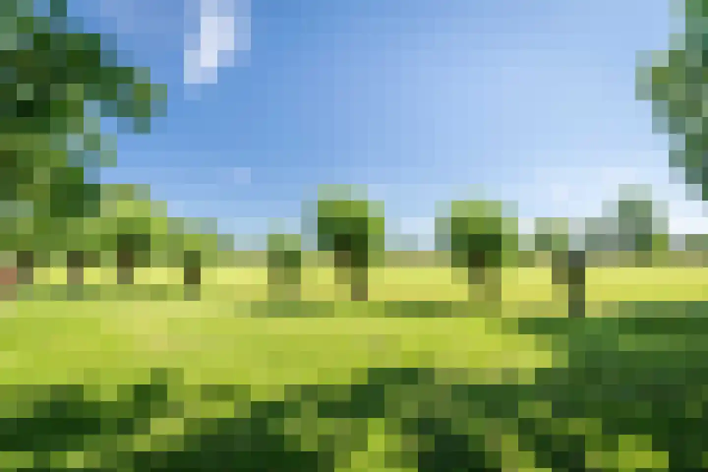 Veluwsedijk 9 Nijbroek thumbnail 63
