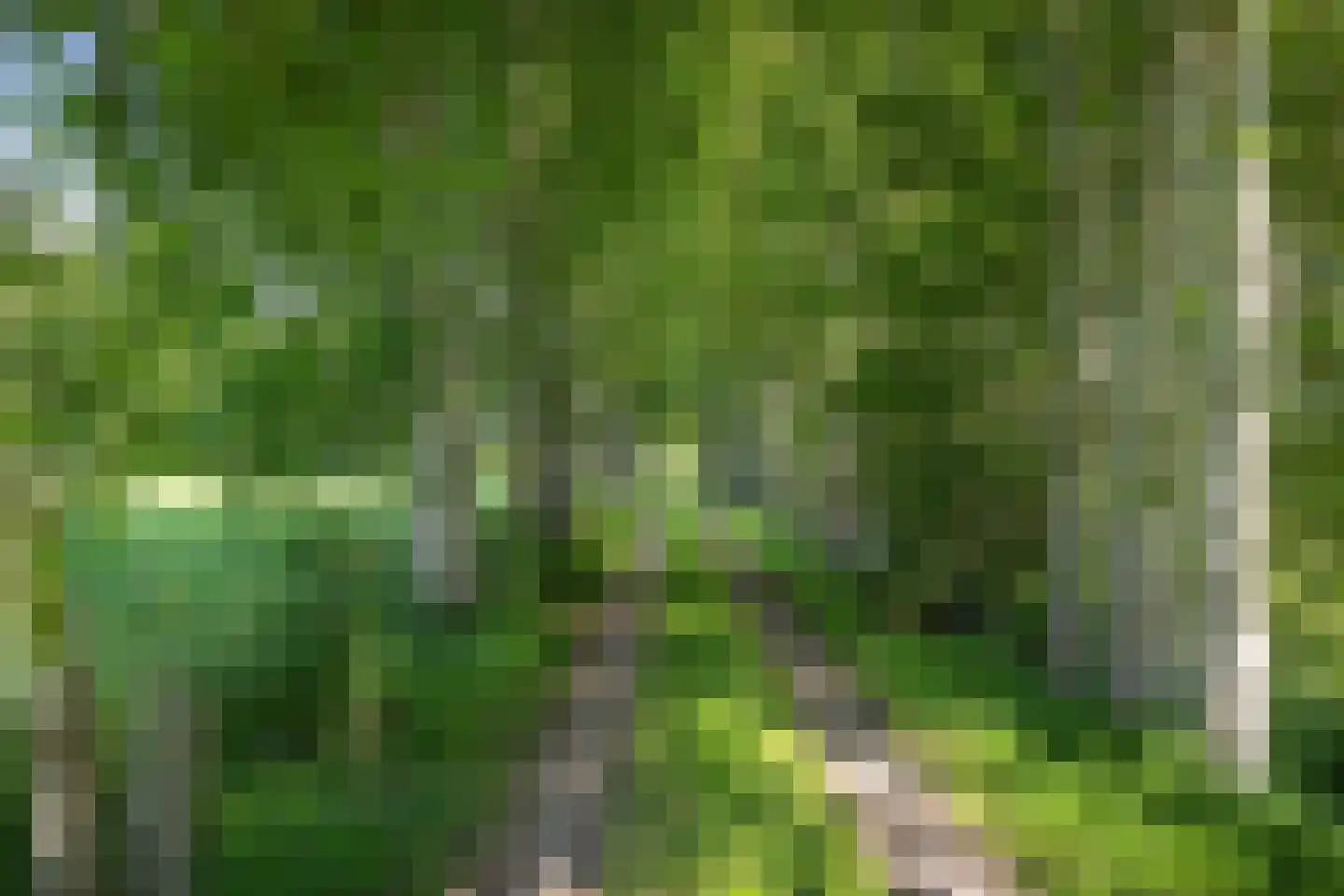 Veluwsedijk 9 Nijbroek thumbnail 64