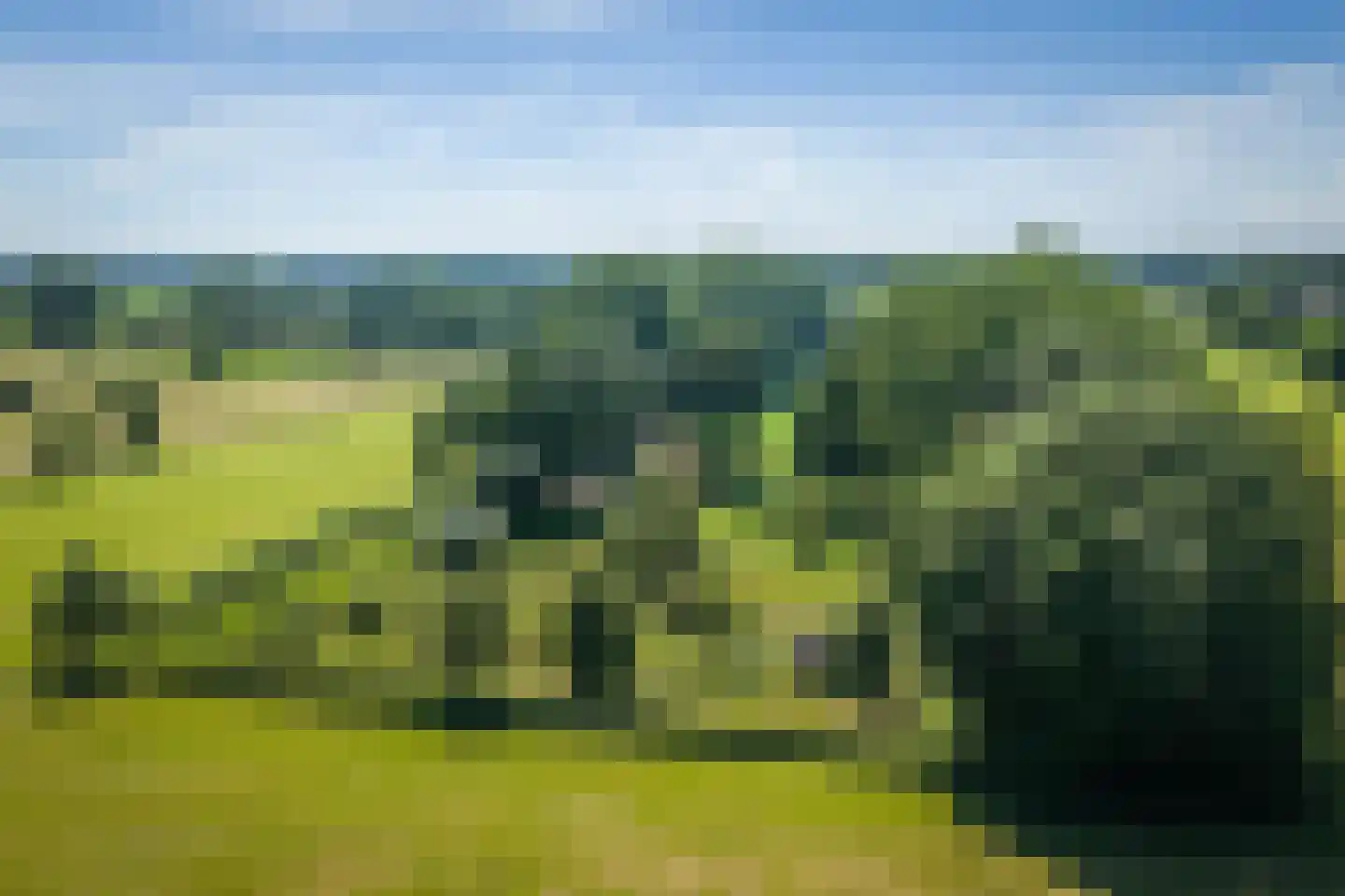 Veluwsedijk 9 Nijbroek thumbnail 66