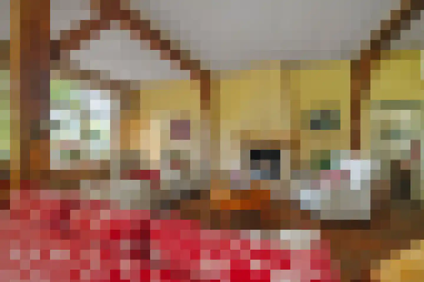 Veluwsedijk 9 Nijbroek thumbnail 7