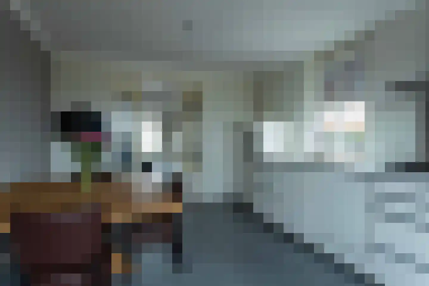 Veluwstraat 11 b Ewijk thumbnail 16