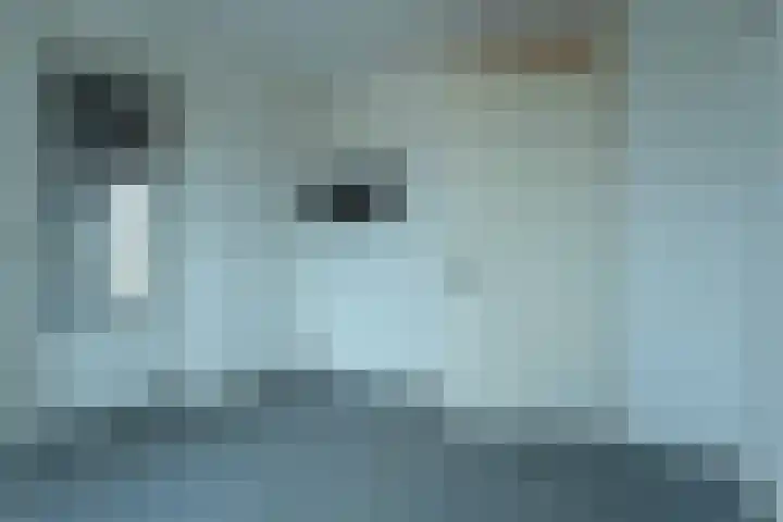 Veluwstraat 11 b Ewijk thumbnail 18