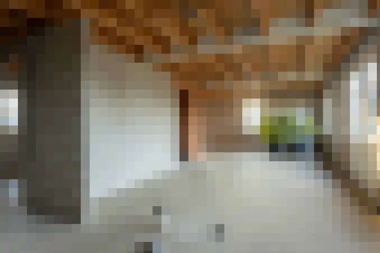 Veluwstraat 11 b Ewijk thumbnail 31