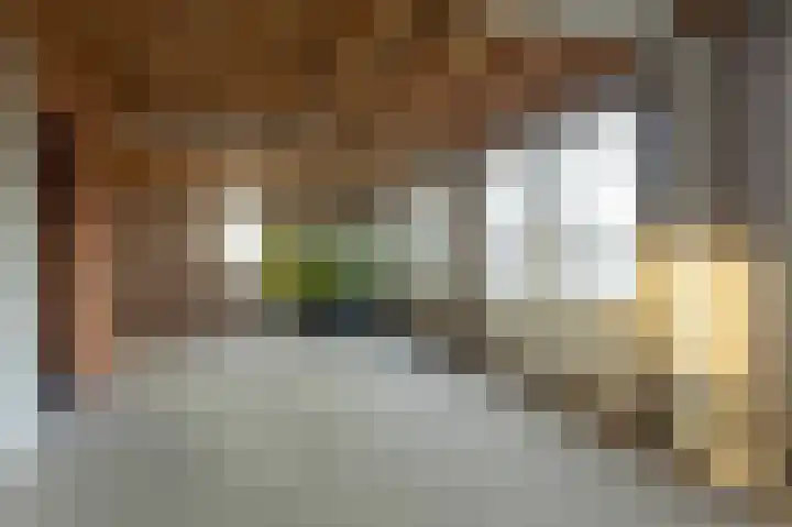 Veluwstraat 11 b Ewijk thumbnail 32