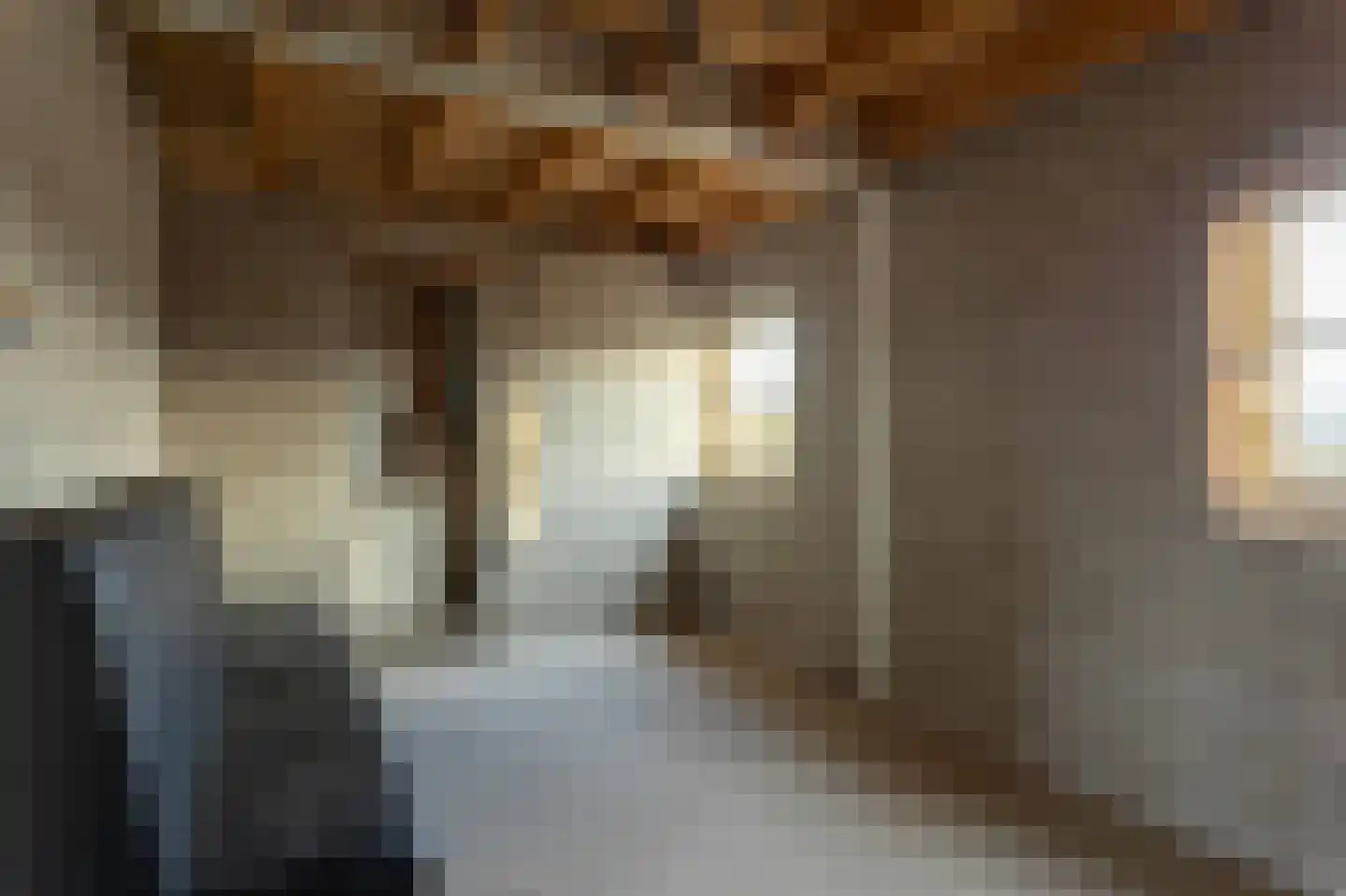 Veluwstraat 11 b Ewijk thumbnail 35