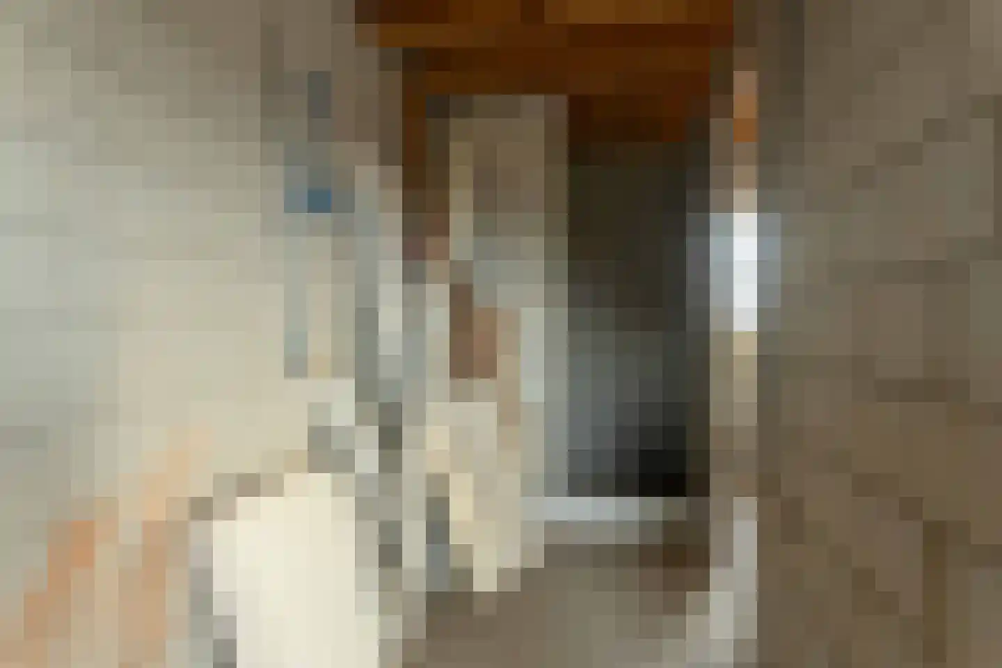 Veluwstraat 11 b Ewijk thumbnail 37
