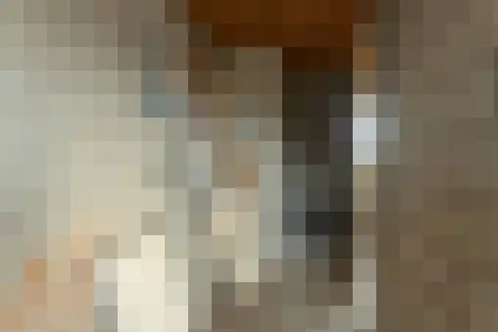 Veluwstraat 11 b Ewijk thumbnail 37