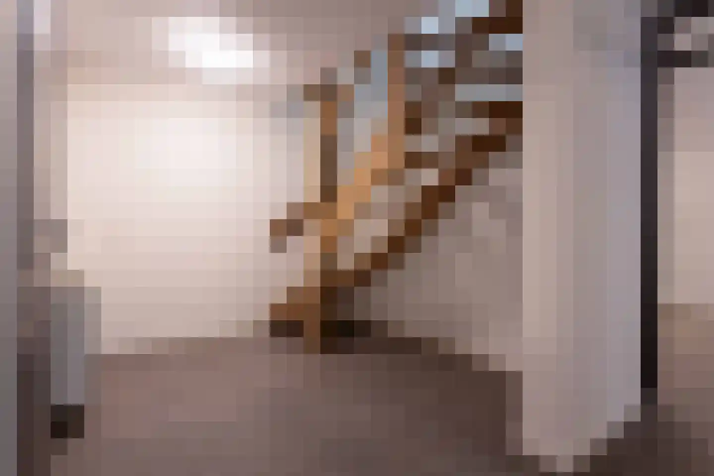 Veluwstraat 11 b Ewijk thumbnail 38