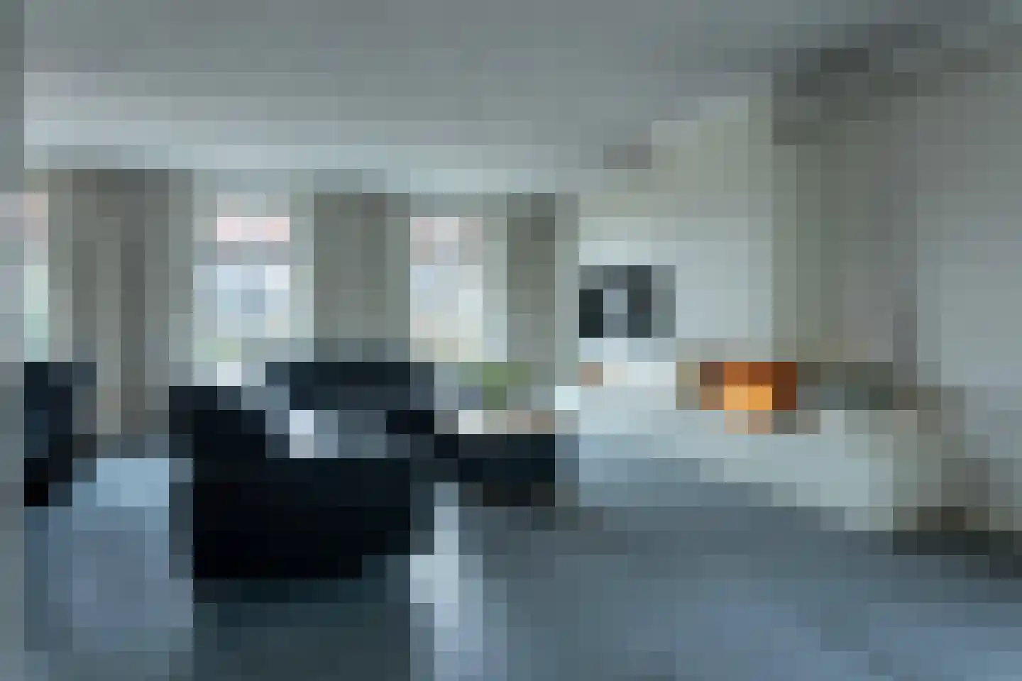 Veluwstraat 11 b Ewijk thumbnail 8
