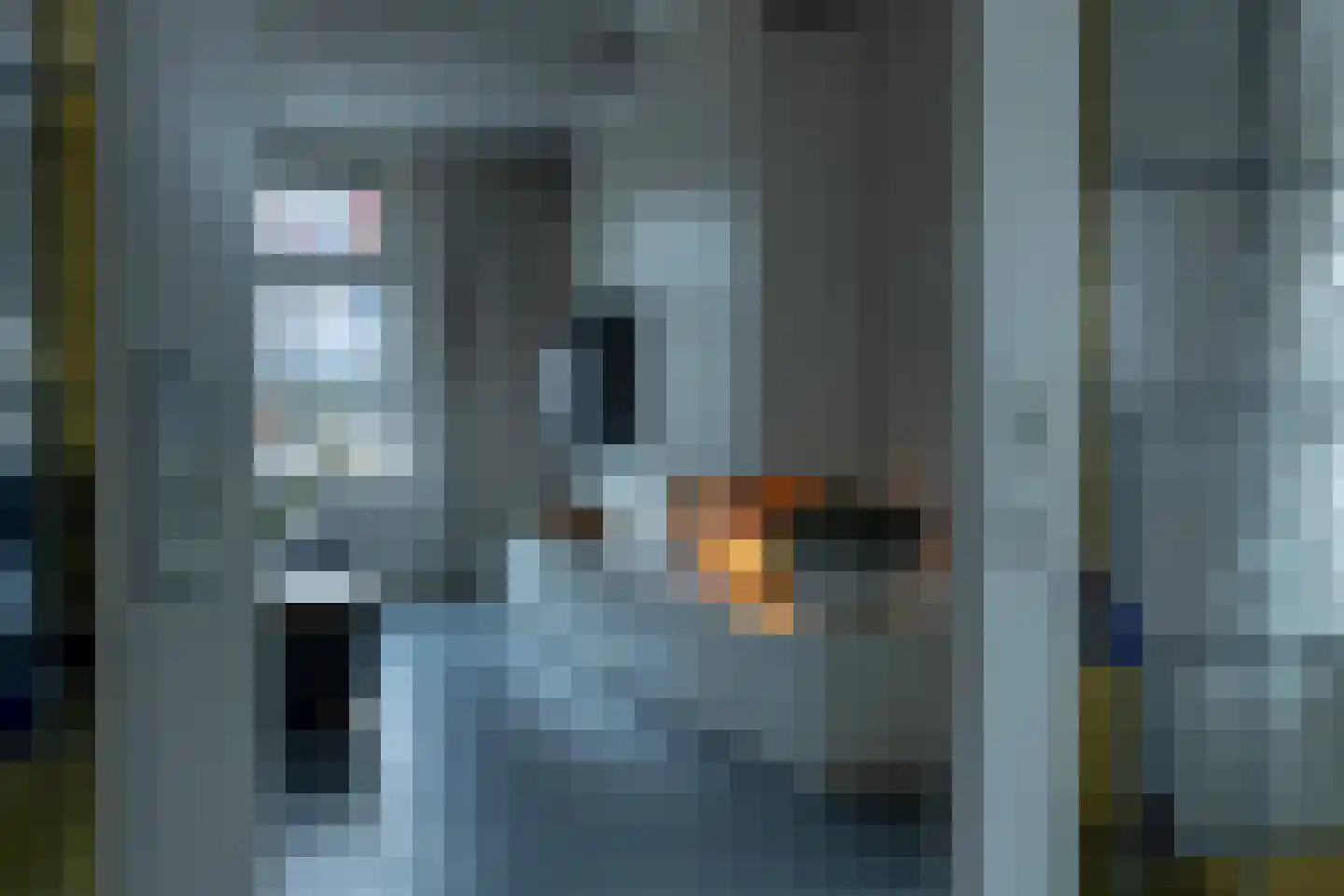 Veluwstraat 11 b Ewijk thumbnail 9