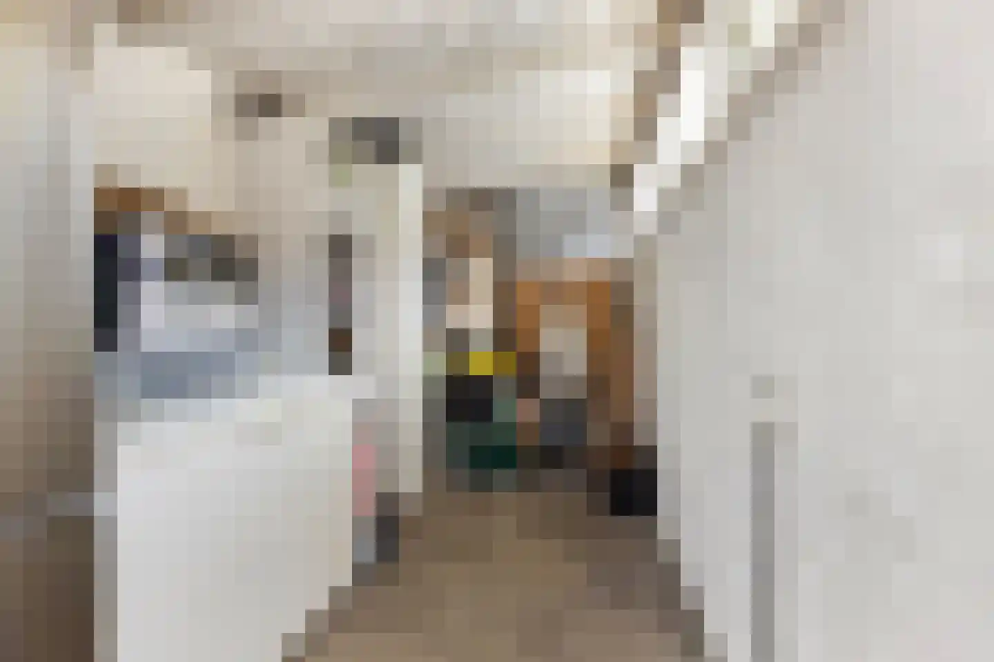 Velveweg 118 Enschede thumbnail 30