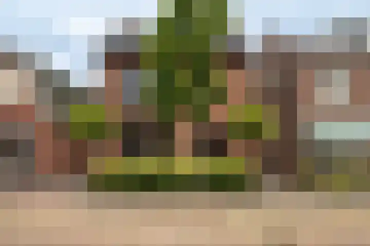 Velveweg 25 A Enschede thumbnail 5