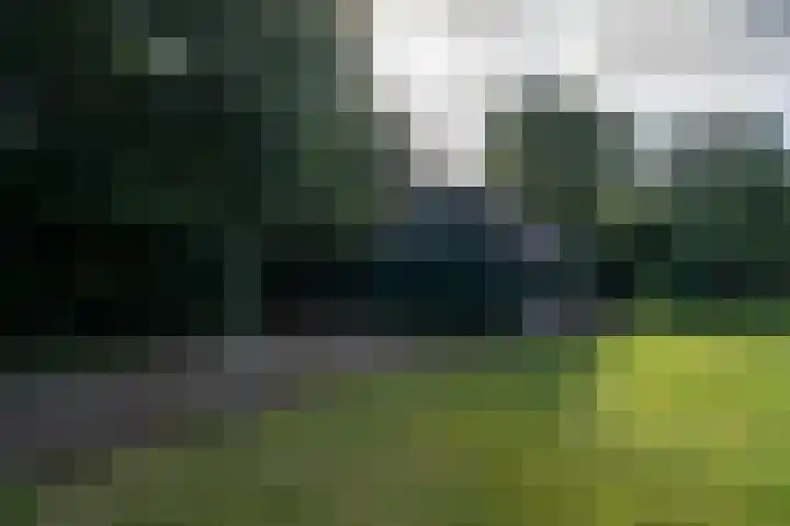 Vemderdwarsweg 3 Epe thumbnail 33