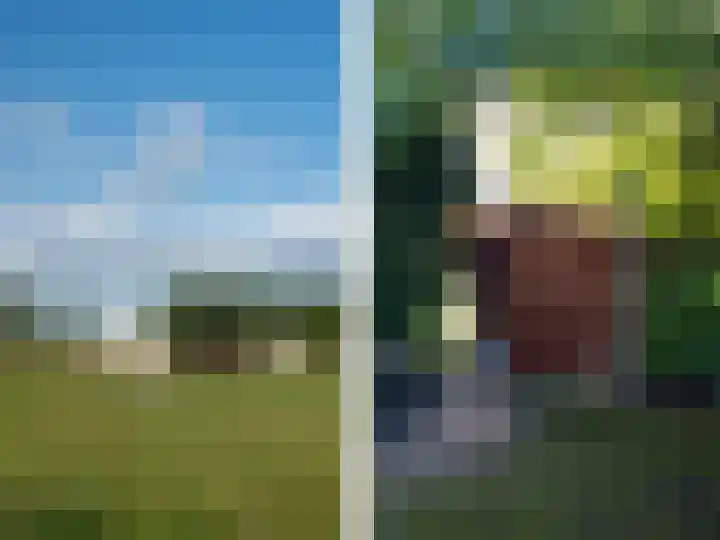 Vemderdwarsweg 3 Epe thumbnail 36
