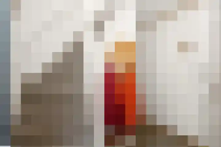 Vemderdwarsweg 3 Epe thumbnail 6