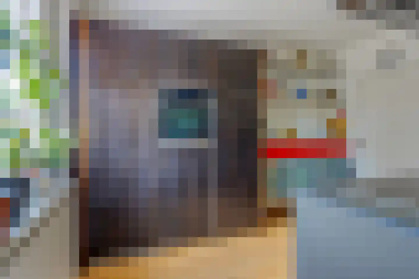 Venakkers 16 Eext thumbnail 27