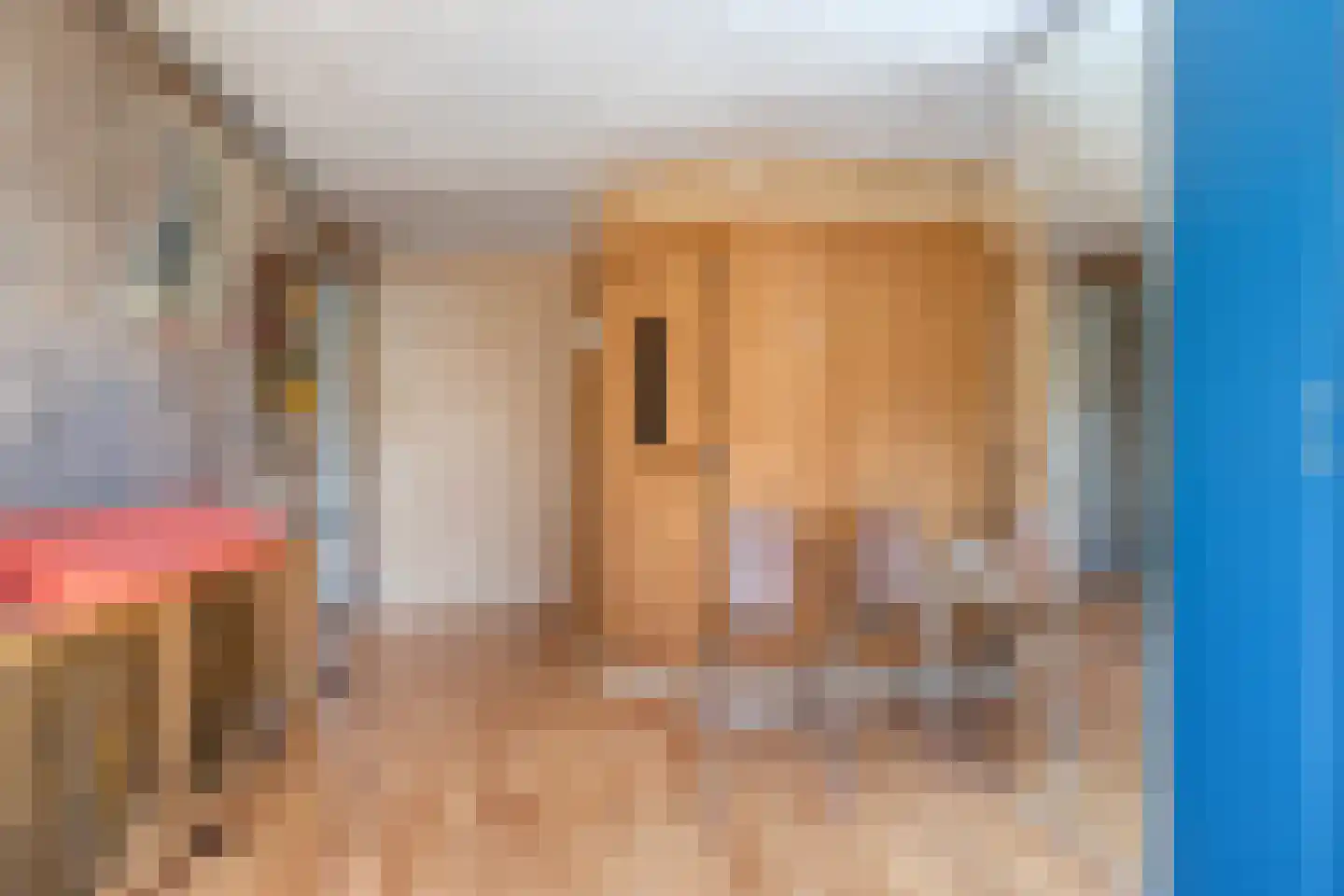 Venakkers 16 Eext thumbnail 5