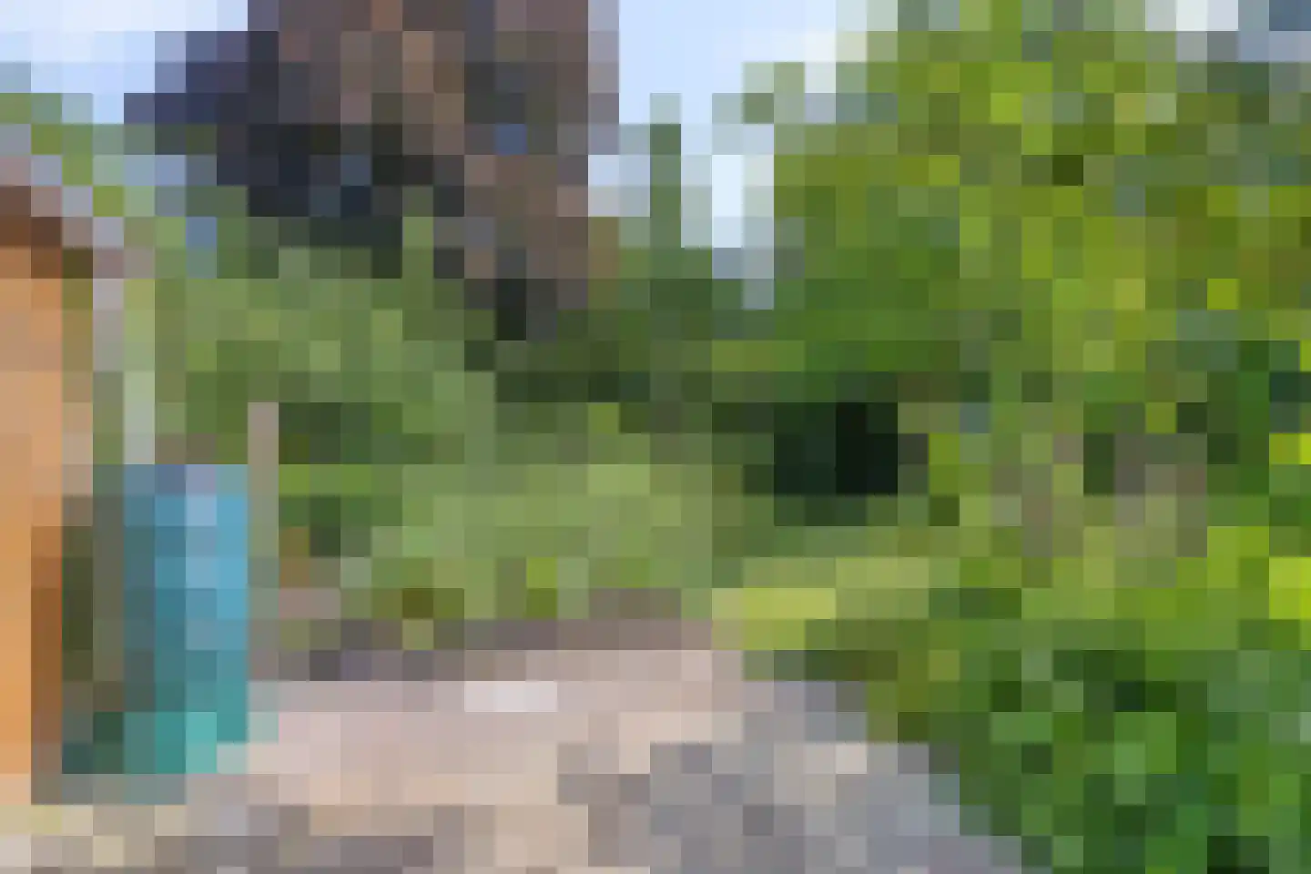 Venakkers 16 Eext thumbnail 51
