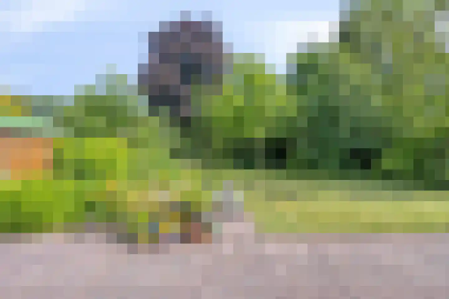Venakkers 16 Eext thumbnail 52