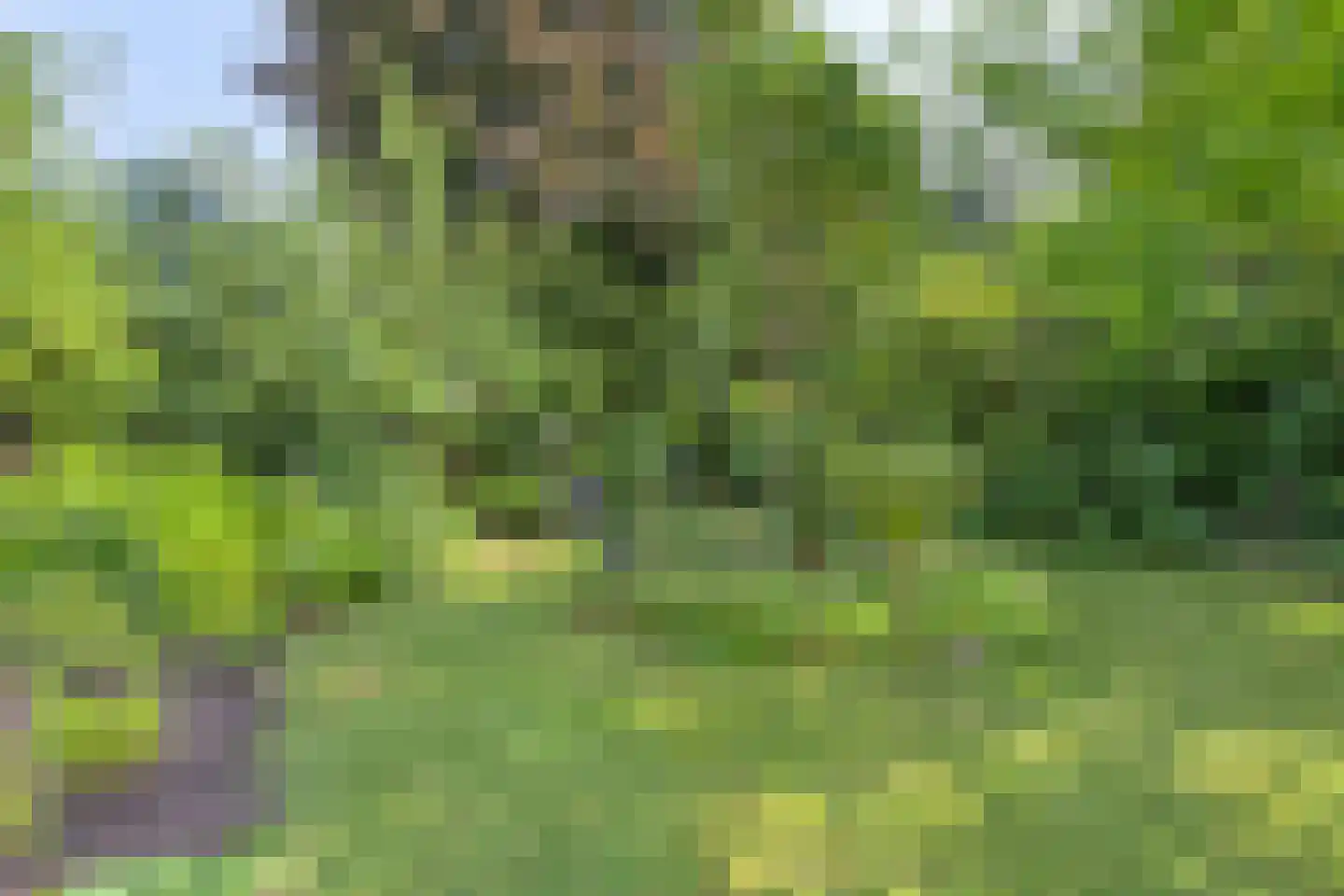 Venakkers 16 Eext thumbnail 53