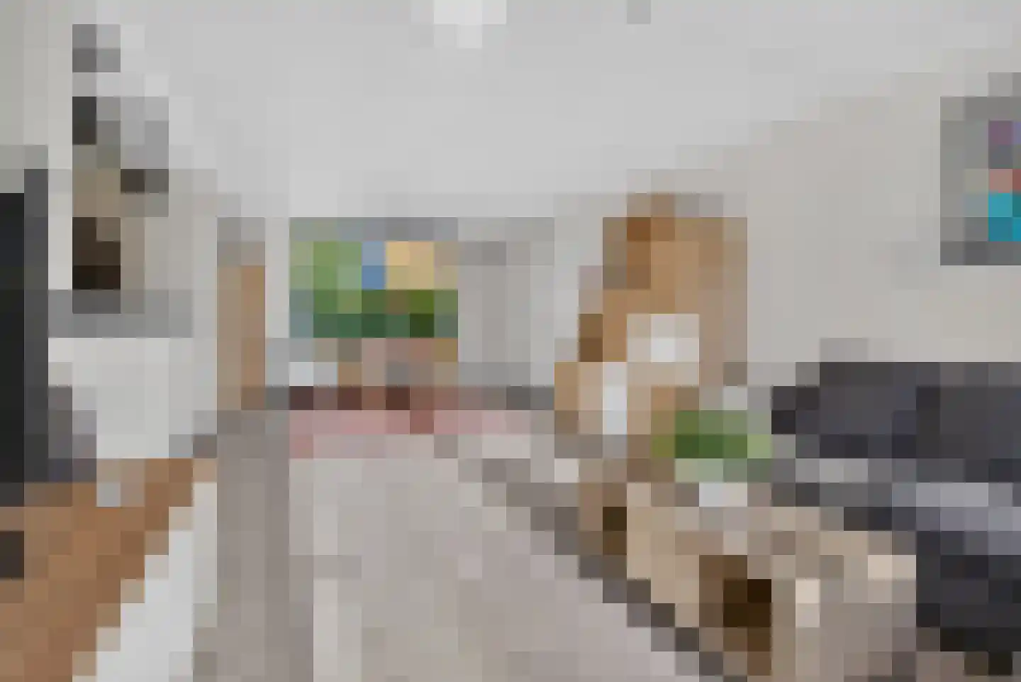 Venakkerstraat 26 Valkenswaard thumbnail 11