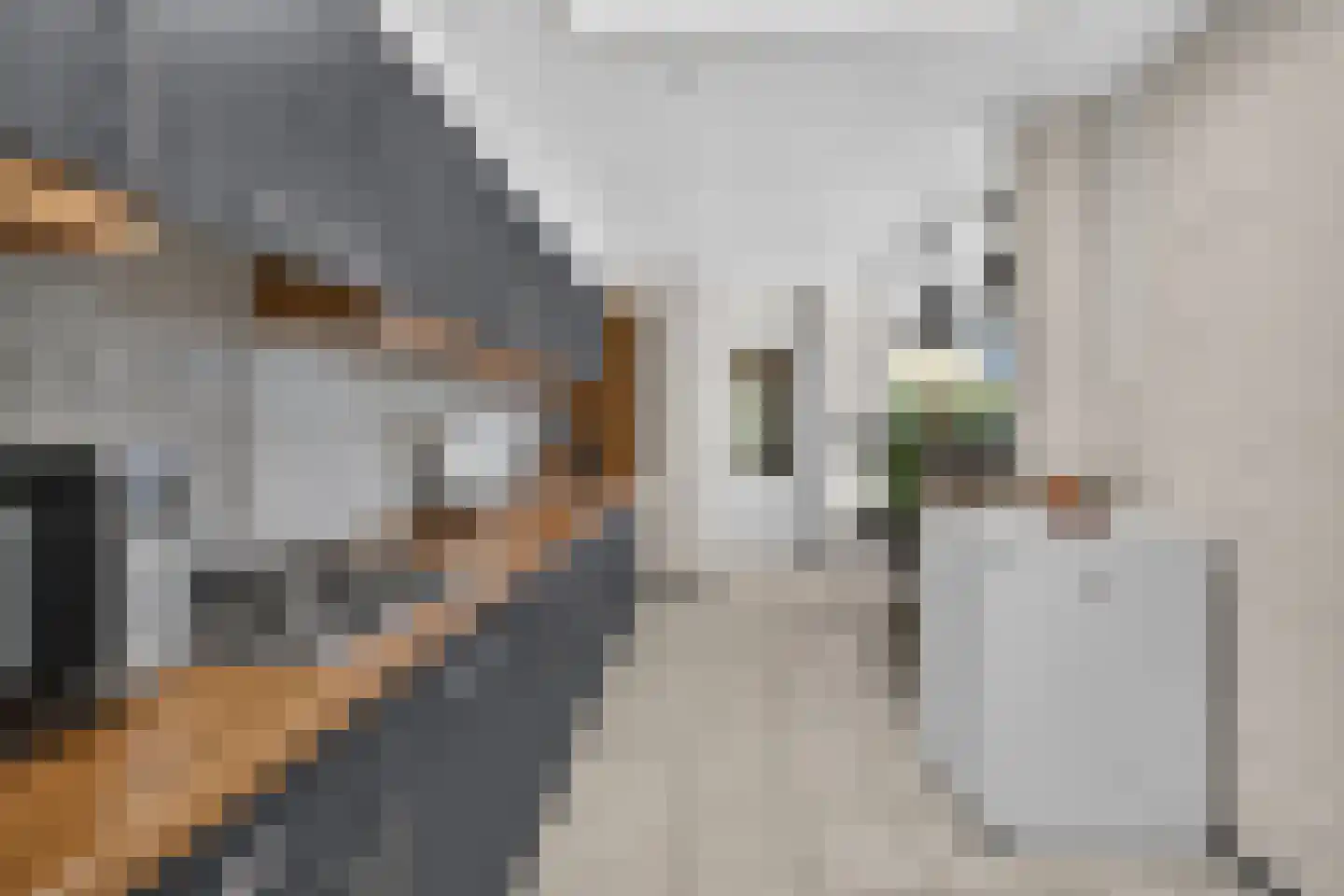 Venakkerstraat 26 Valkenswaard thumbnail 15