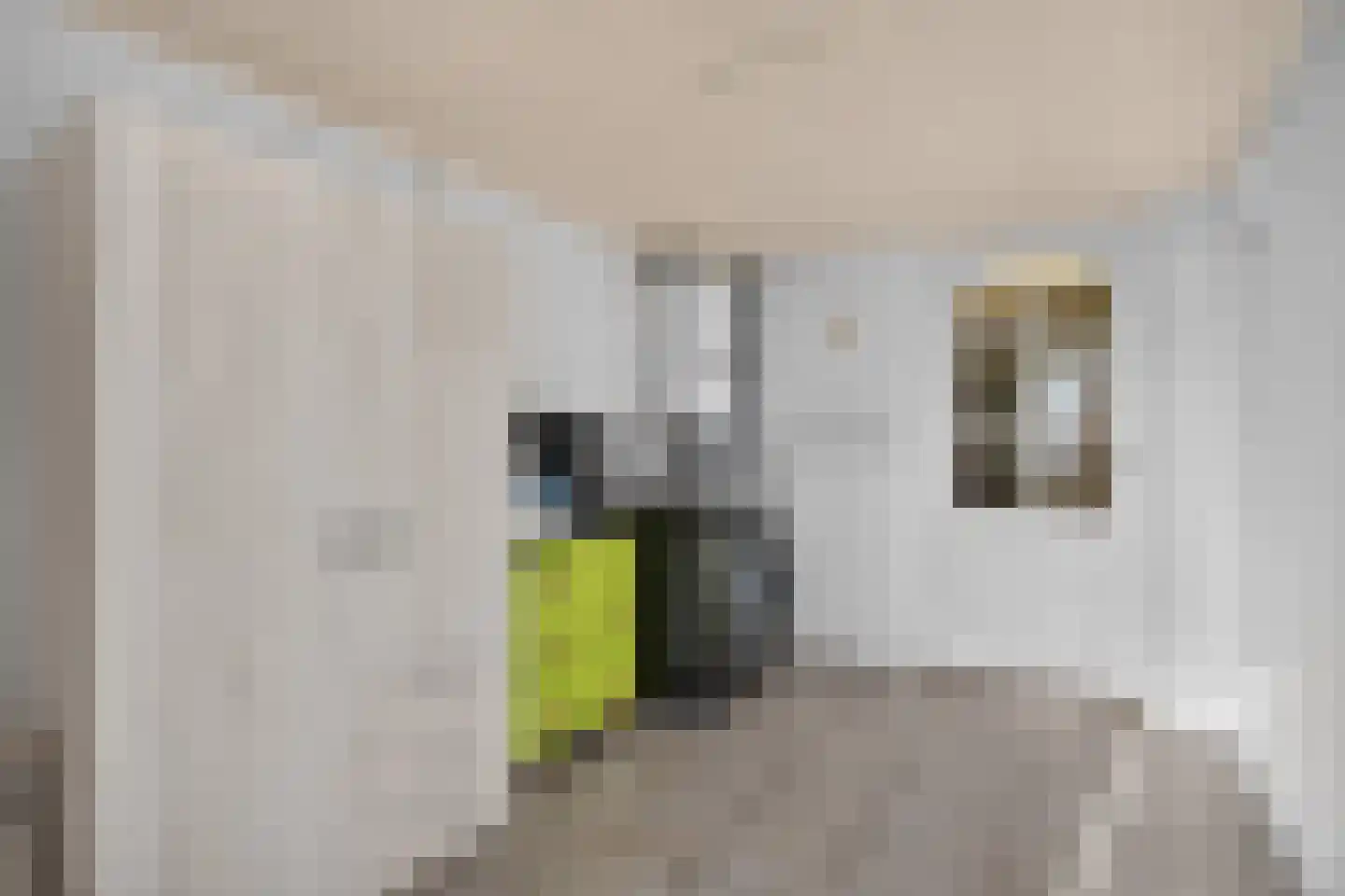 Venakkerstraat 26 Valkenswaard thumbnail 17