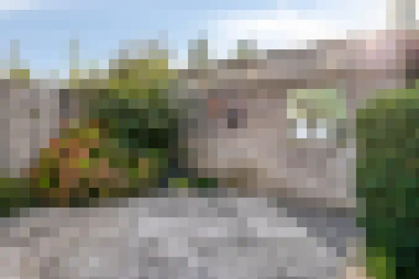 Venakkerstraat 40 Valkenswaard thumbnail 21