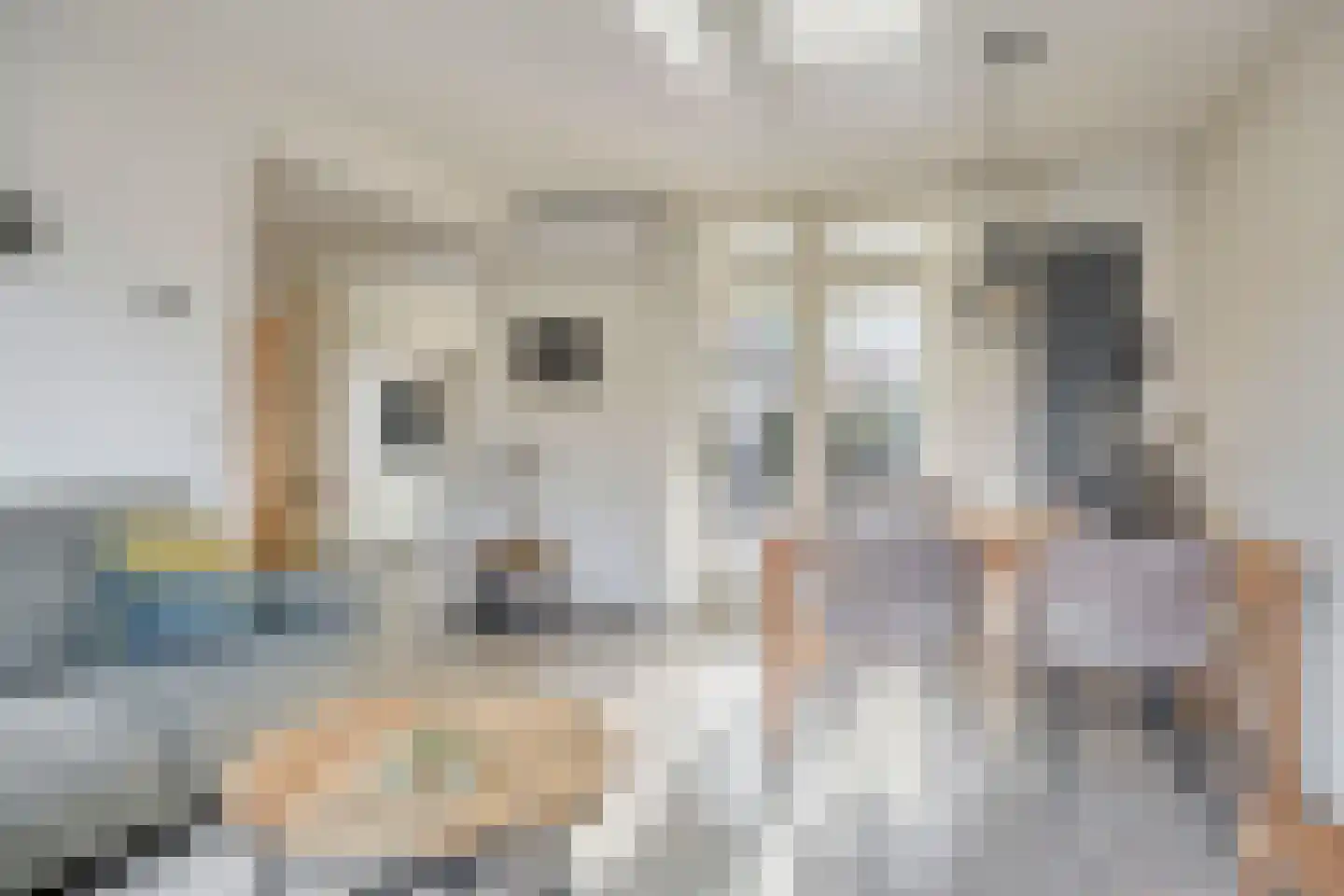 Venakkerstraat 40 Valkenswaard thumbnail 4