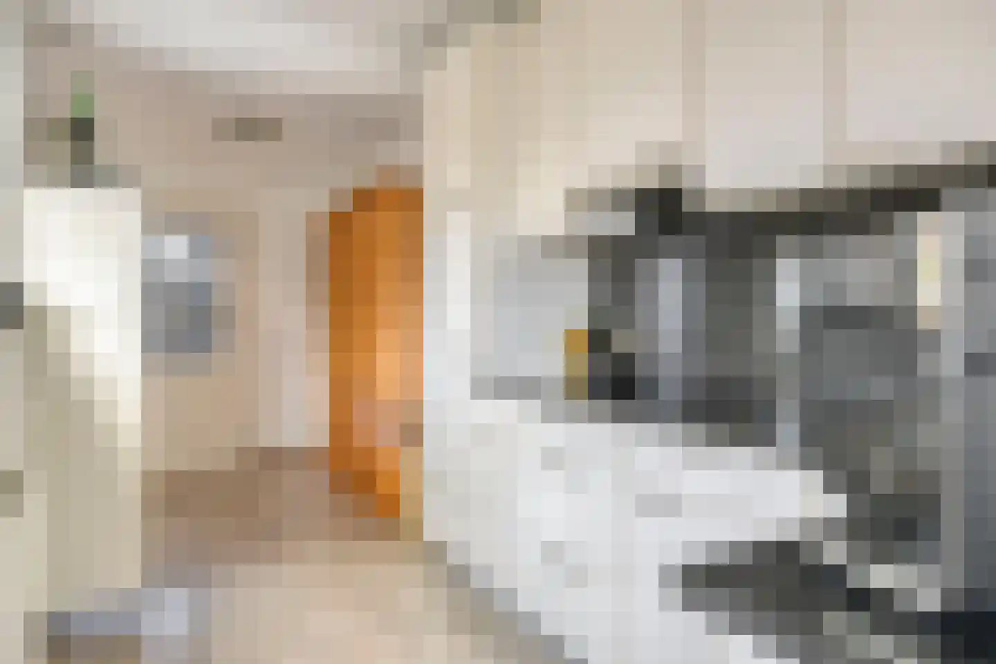 Venakkerstraat 40 Valkenswaard thumbnail 7
