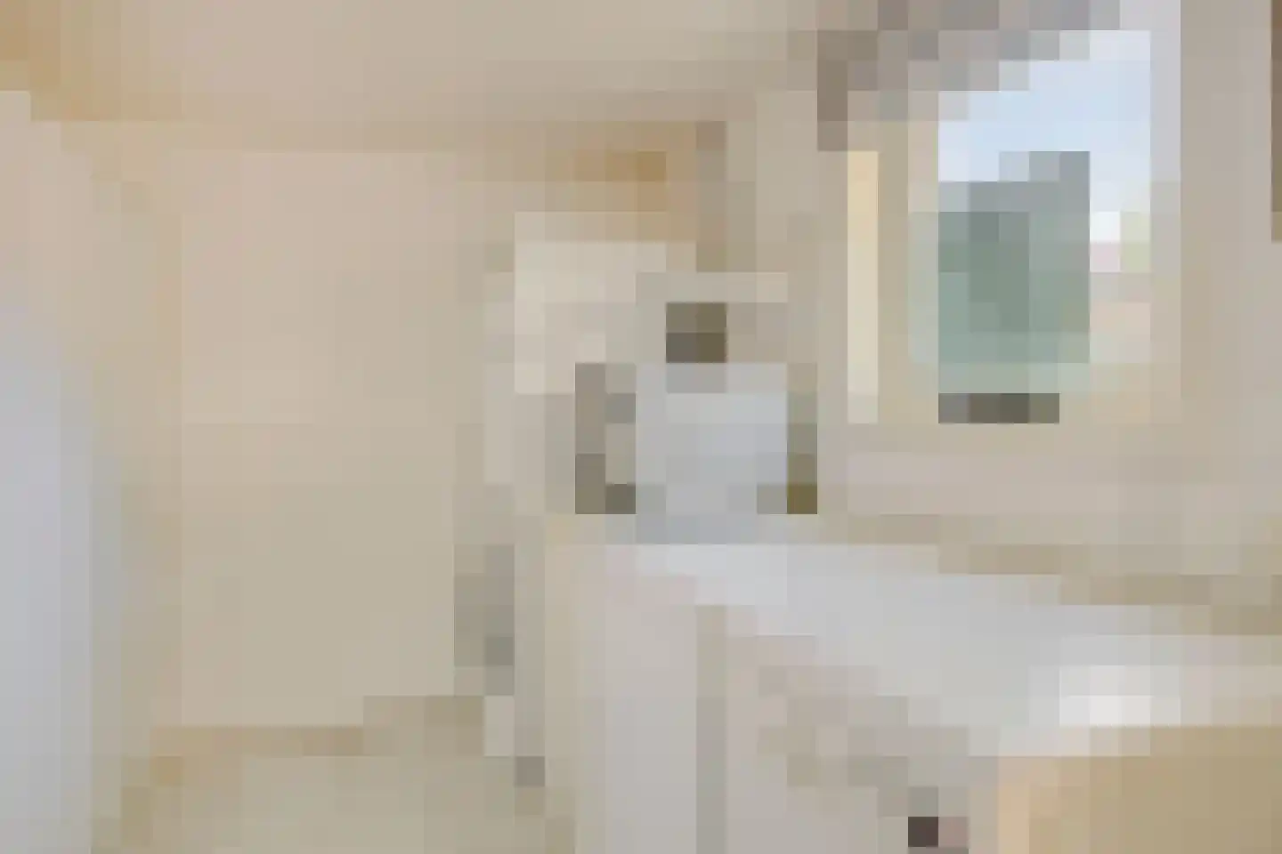 Venakkerstraat 40 Valkenswaard thumbnail 9
