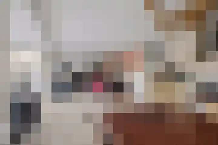 Venatorstraat 4 Alkmaar thumbnail 10