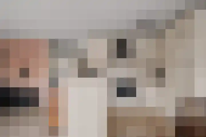 Venatorstraat 4 Alkmaar thumbnail 13