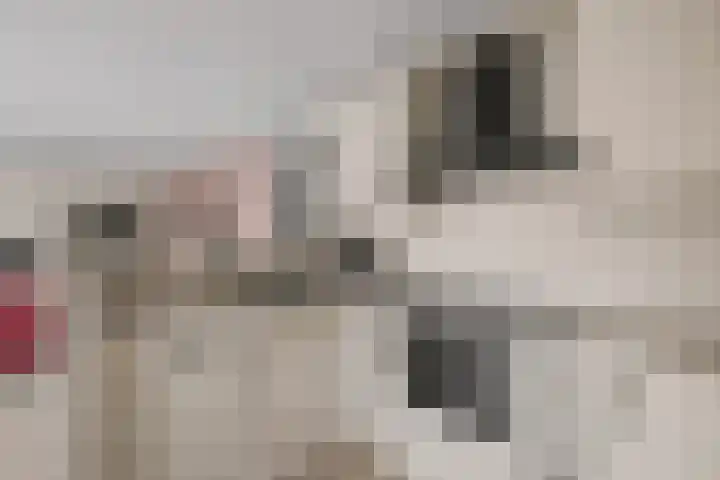 Venatorstraat 4 Alkmaar thumbnail 14