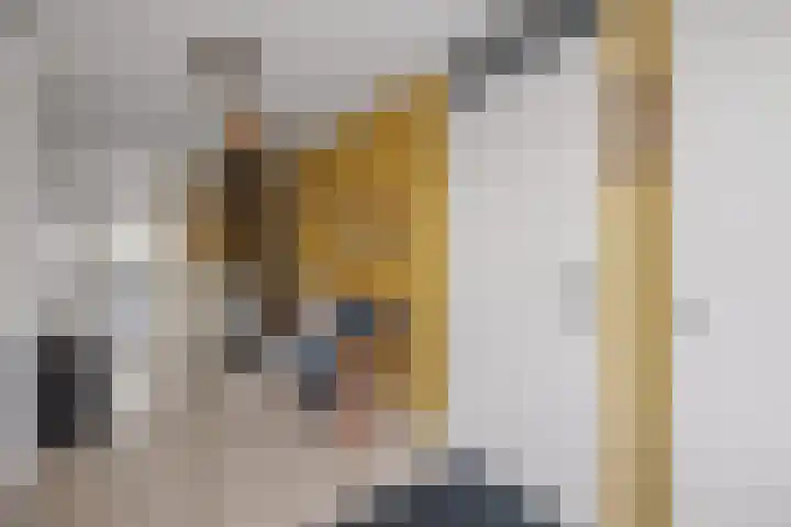 Venatorstraat 4 Alkmaar thumbnail 16