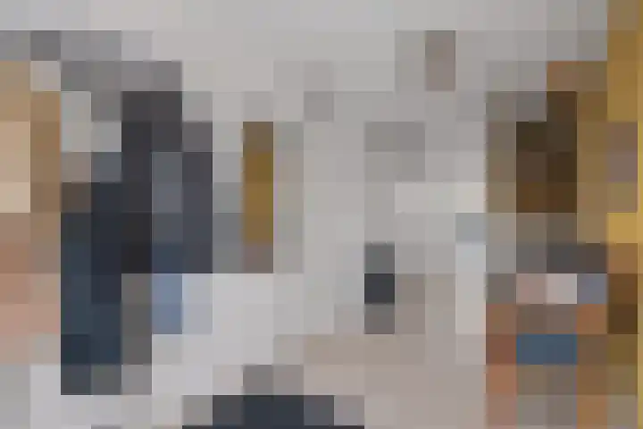 Venatorstraat 4 Alkmaar thumbnail 17